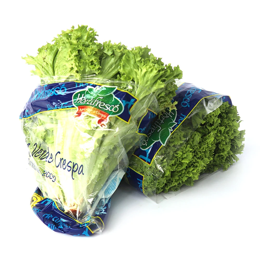 LECHUGA CRESPA HORTIFRESCO X 200 GR