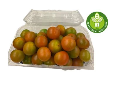 TOMATE CHERRY HORTIFRESCO BJA X 500 GR