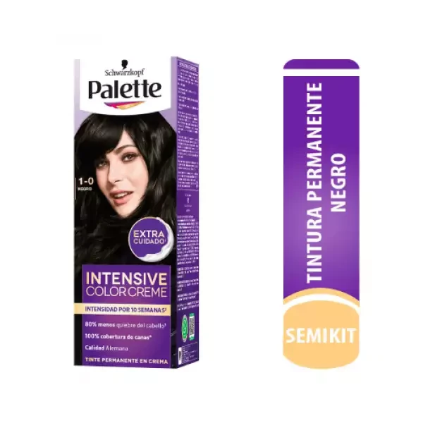 TINTURA PALETTE NEGRO