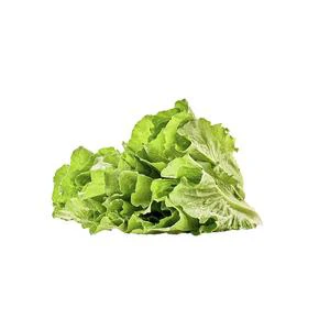 LECHUGA ROMANA VEGGIES X 250 GR