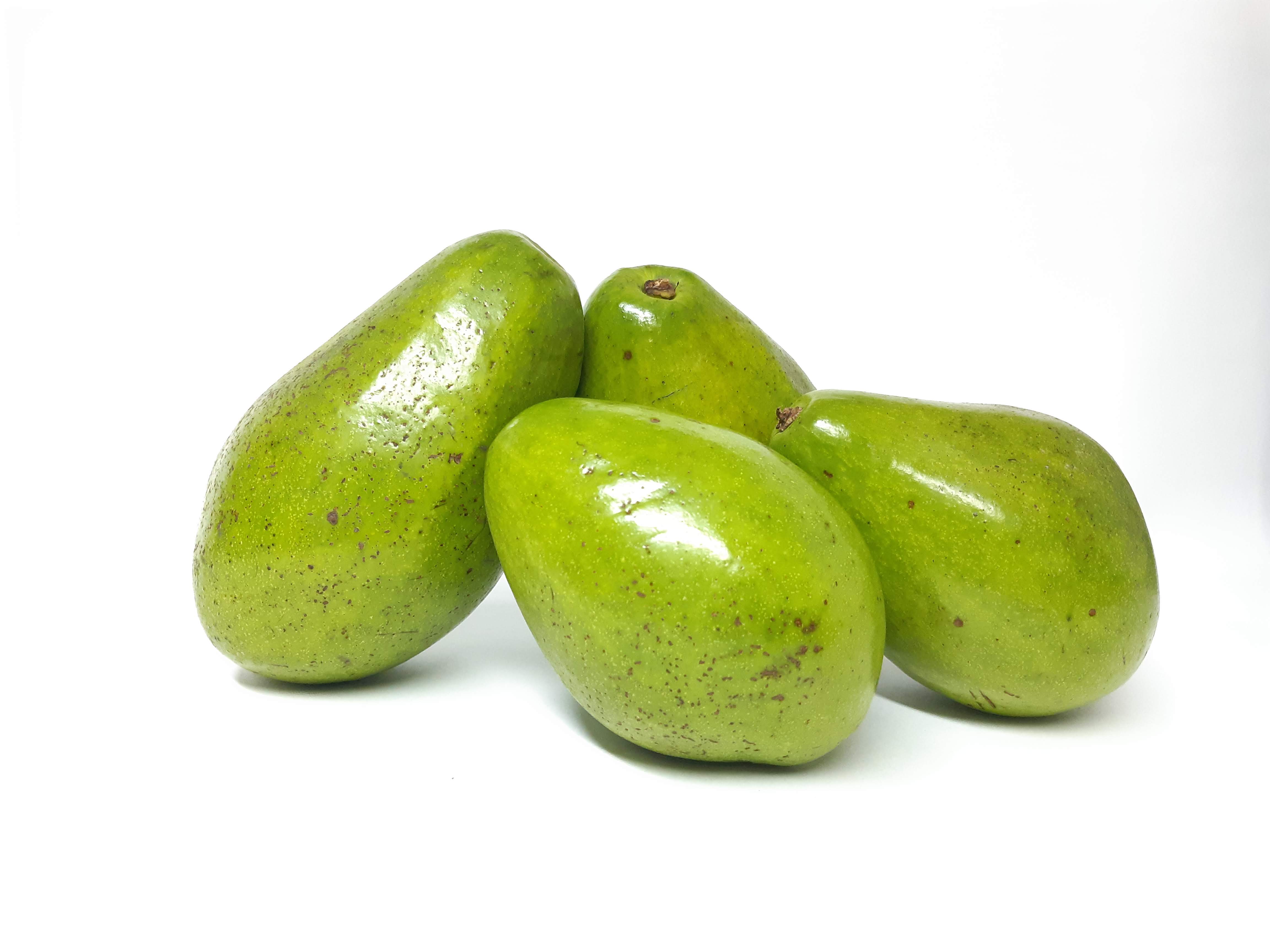 AGUACATE PAPELILLO