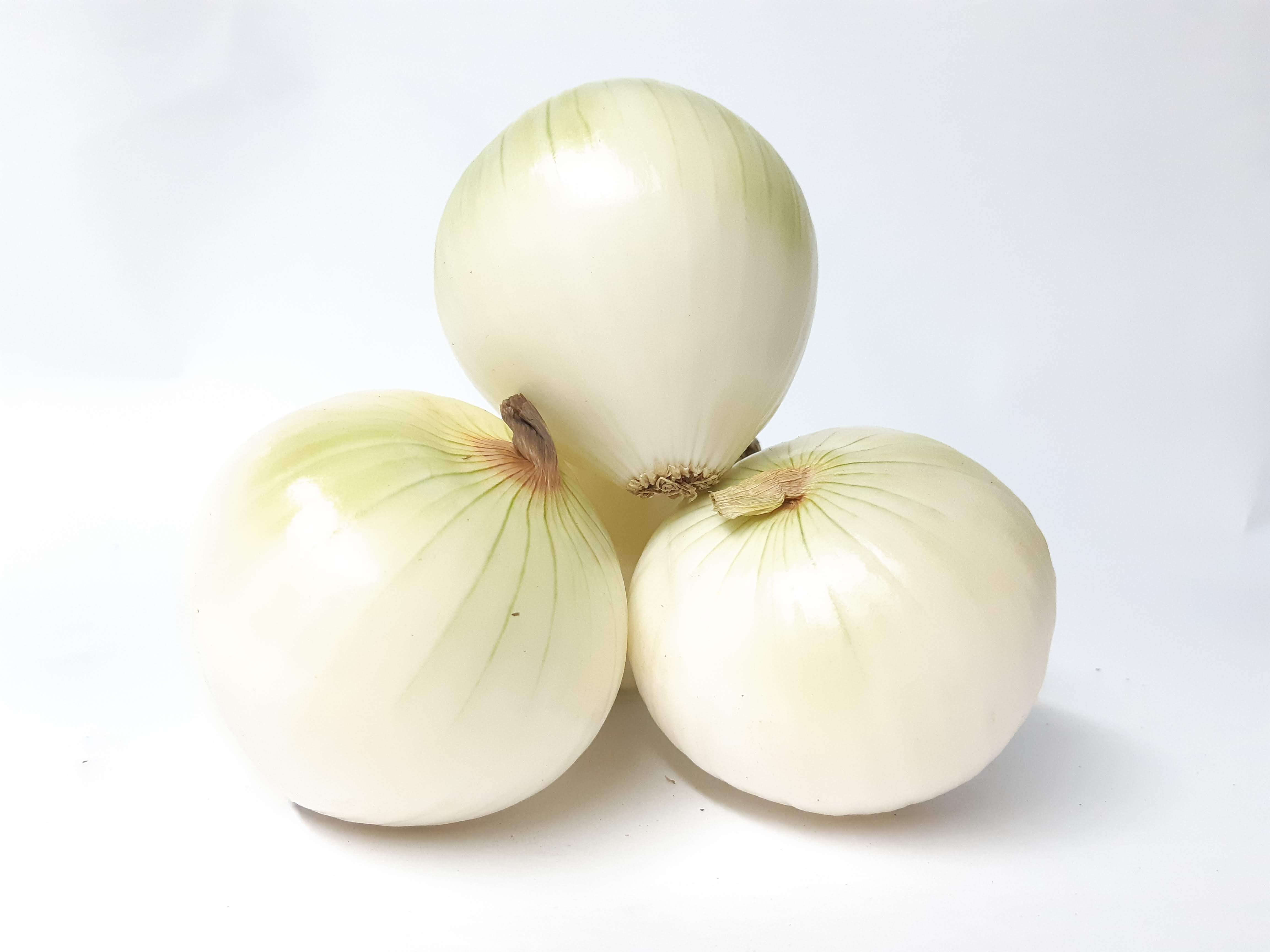 CEBOLLA HUEVO BLANCA PELADA