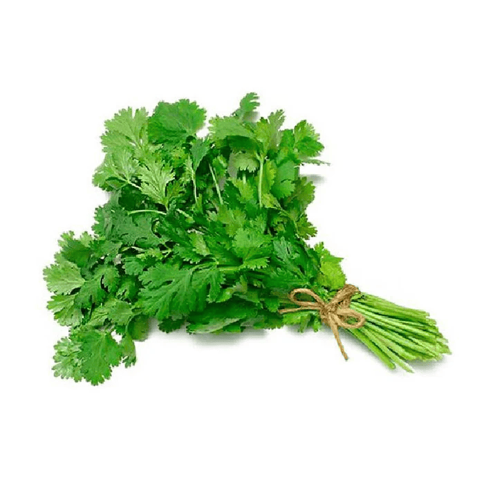 CILANTRO