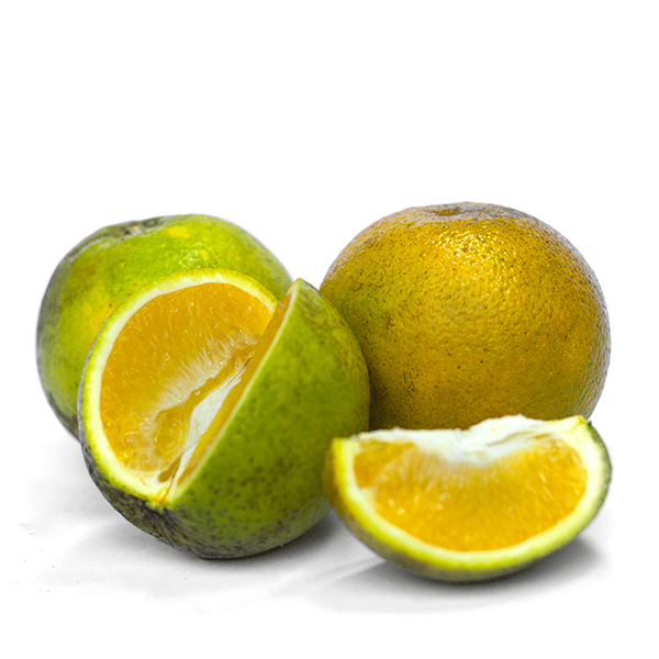 NARANJA VALENCIA EXTRA KL