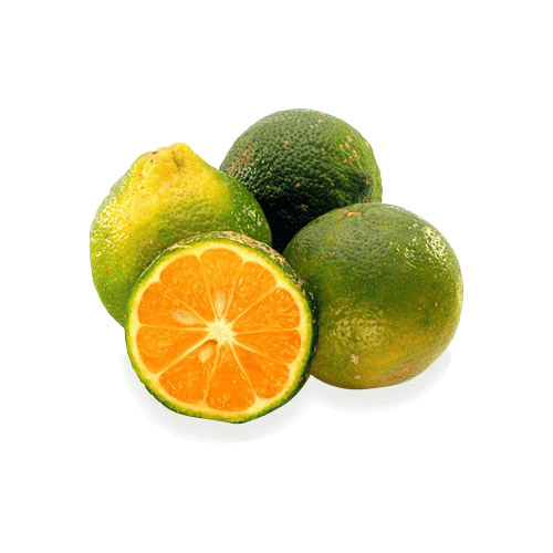 LIMON MANDARINO