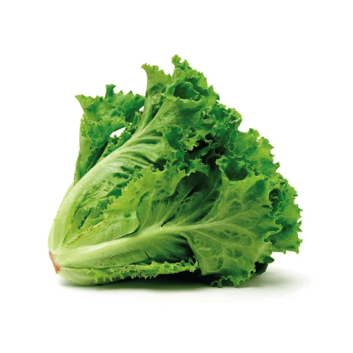 LECHUGA CRESPA BOLSA UNIDAD