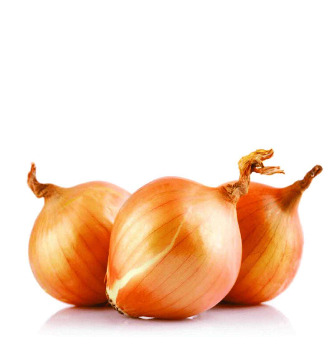 CEBOLLA DE HUEVO BLANCA