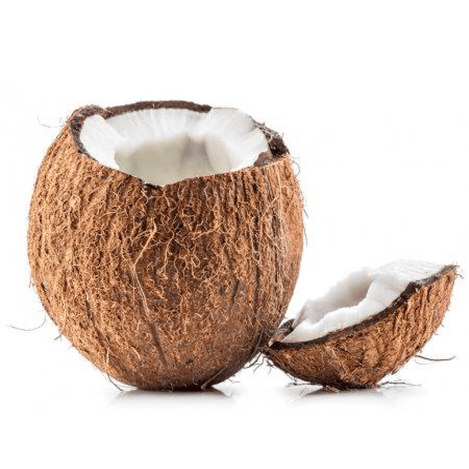 COCO UND
