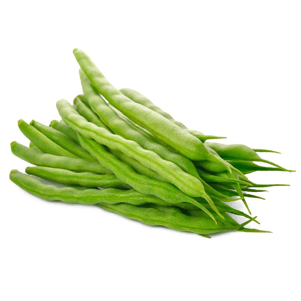 HABICHUELA