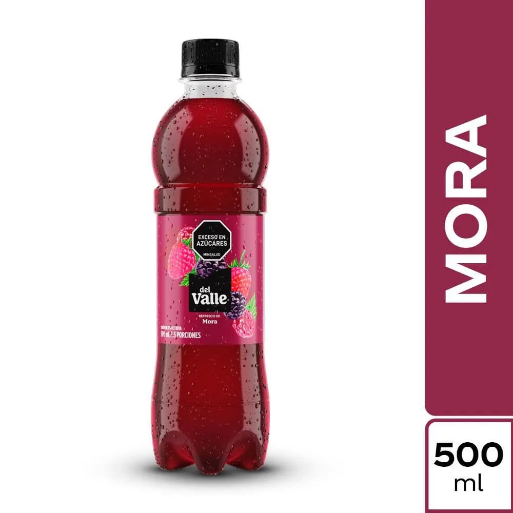FRESCO VALLE FRUTAL MORA*500ML